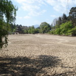 Lau-YCW Essay Competition Winner – China’s Water Footprint: An Example for Future Policymakers